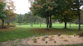 View of golf course